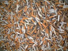 10.000 lagun hilko ditu tabakoak 10.000 lagun hilko ditu tabakoak
