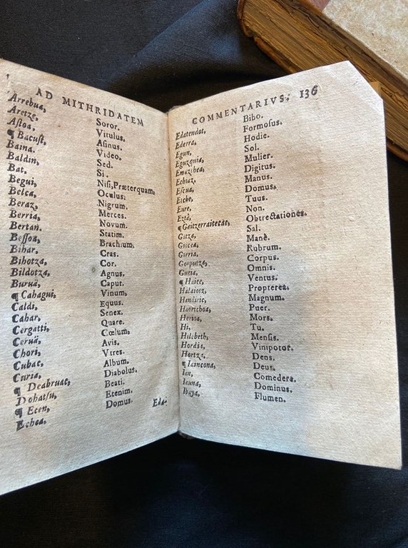 1610. urteko Suitzako liburu batean euskarazko ehun hitz agertu dira 1610. urteko Suitzako liburu batean euskarazko ehun hitz agertu dira