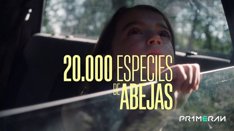 '20.000 especies de abejas' filma Primeran plataforman ikus daiteke gaurtik aurrera, euskaraz '20.000 especies de abejas' filma Primeran plataforman ikus daiteke gaurtik aurrera, euskaraz