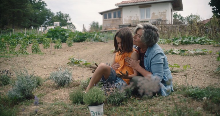 '20.000 especies de abejas' filmarekin hasiko da Donostiako Giza Eskubideen 20. Zinemaldia