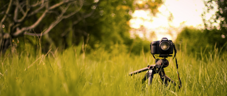 ‘World Press Photok 20 urte Gasteizen’ amateur argazki-lehiaketa martxan da ‘World Press Photok 20 urte Gasteizen’ amateur argazki-lehiaketa martxan da