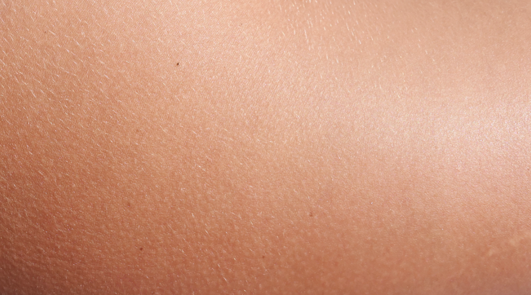 3D inprimagailu batekin giza azala garatu dute