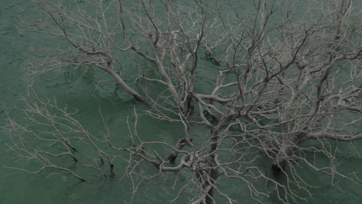 Captura de pantalla 2019-09-11 a las 08.54.06.png