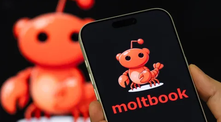 Adimen artifiziala sozializazioan eta eztabaidetan trebatzeko sare soziala sortu dute