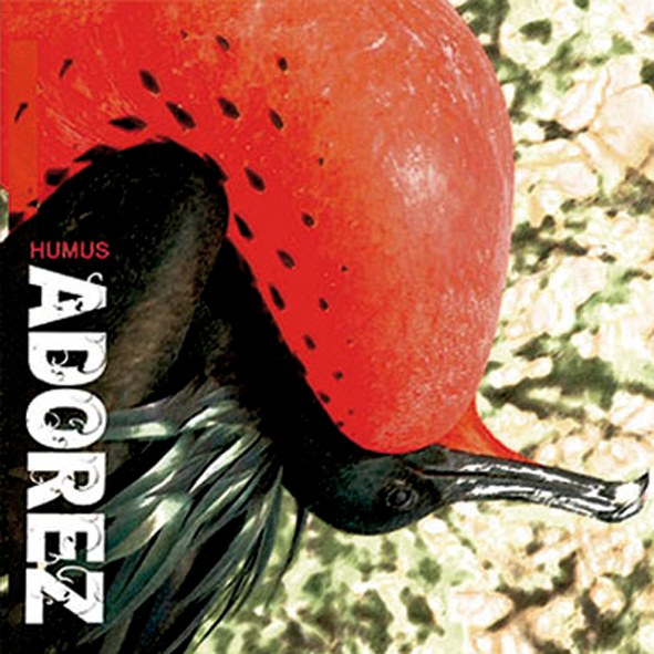Adorez Adorez