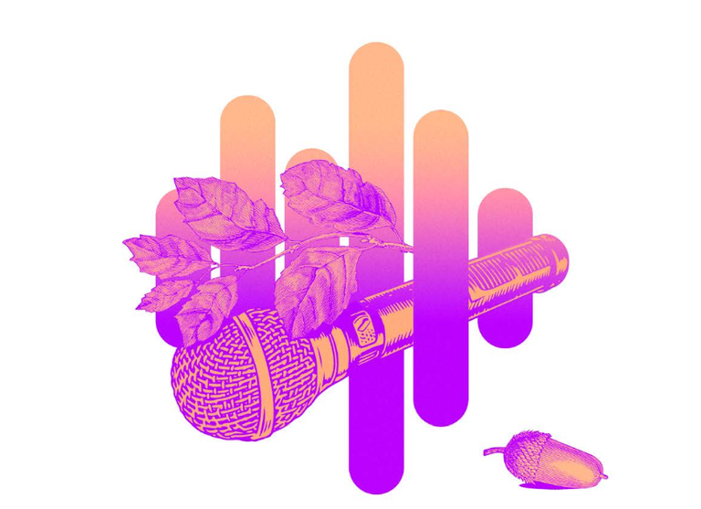 Aire libreko bederatzi kontzertu egingo dituzte Gasteizko Belar Sounds jaialdian