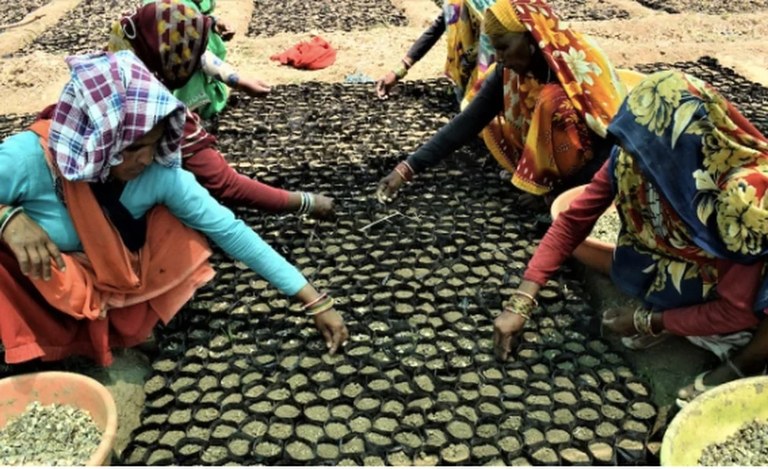 "Alexa, landatu zuhaitz bat" esaldiarekin mundua basotzen lagundu zenezake etxetik atera gabe