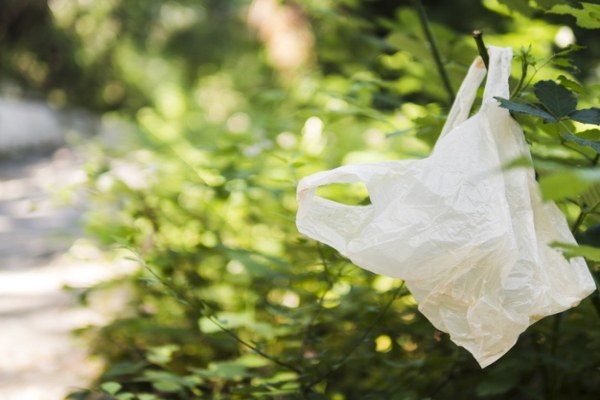 "Amaraun beganoko" zeta erabilera bakarreko plastikoaren alternatiba "Amaraun beganoko" zeta erabilera bakarreko plastikoaren alternatiba