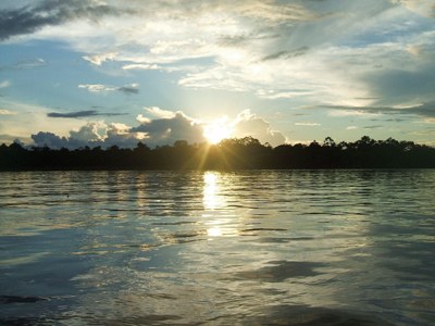 Amazonas Amazonas