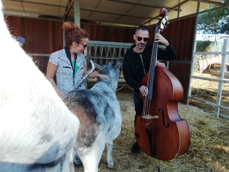 Animal Band: Animalientzat bakarrik jotzen duen taldea Animal Band: Animalientzat bakarrik jotzen duen taldea