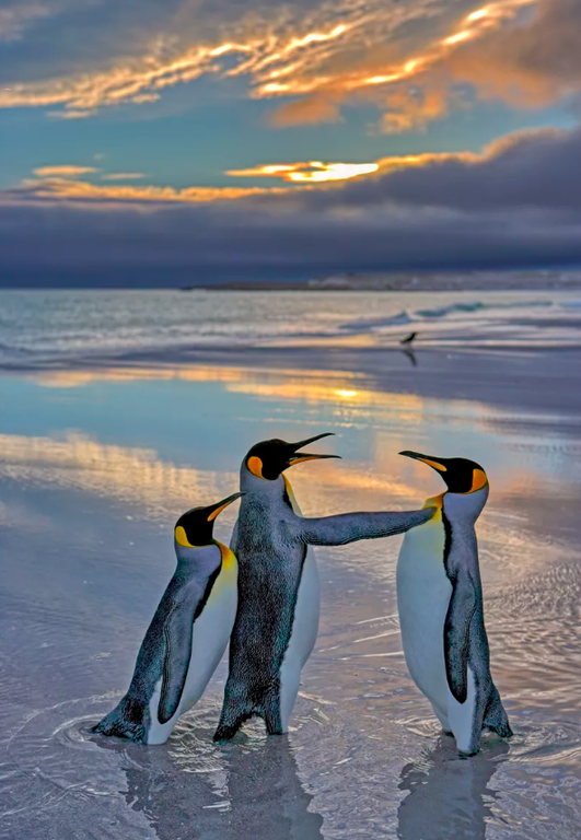 Pantaila-argazkia 2024-12-18 080356.png