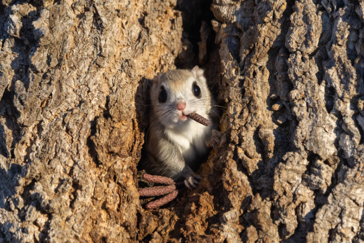 Pantaila-argazkia 2024-12-18 080445.png