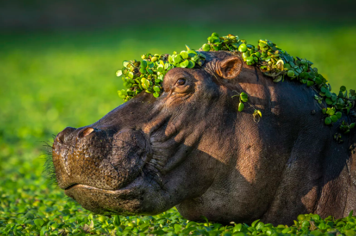 Pantaila-argazkia 2024-12-18 080452.png