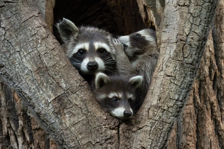 Pantaila-argazkia 2024-12-18 080522.png