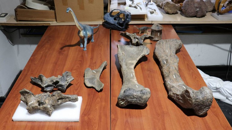 arackar-licanantay-el-dinosaurio-mas-grande-descubierto-en-chile.jpg