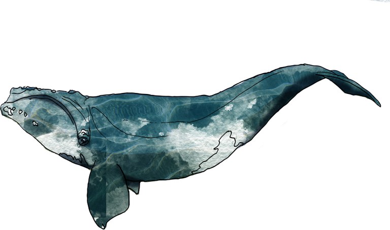 Arkaitz Barriolaren erakusketa jarriko dute Donostiako Aieteko Kultur Etxean