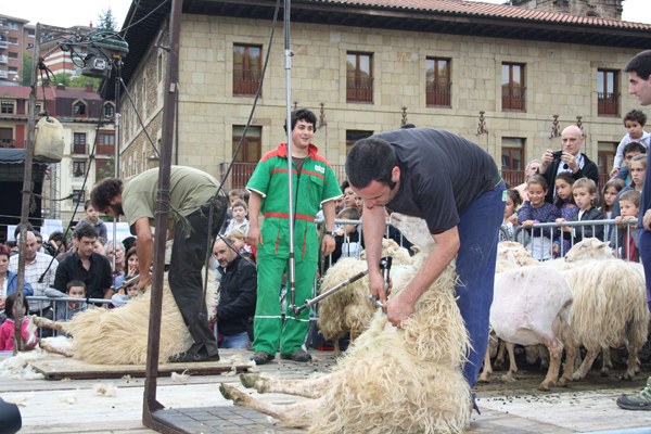 Artzain egun arrakastatsua Legazpin Artzain egun arrakastatsua Legazpin
