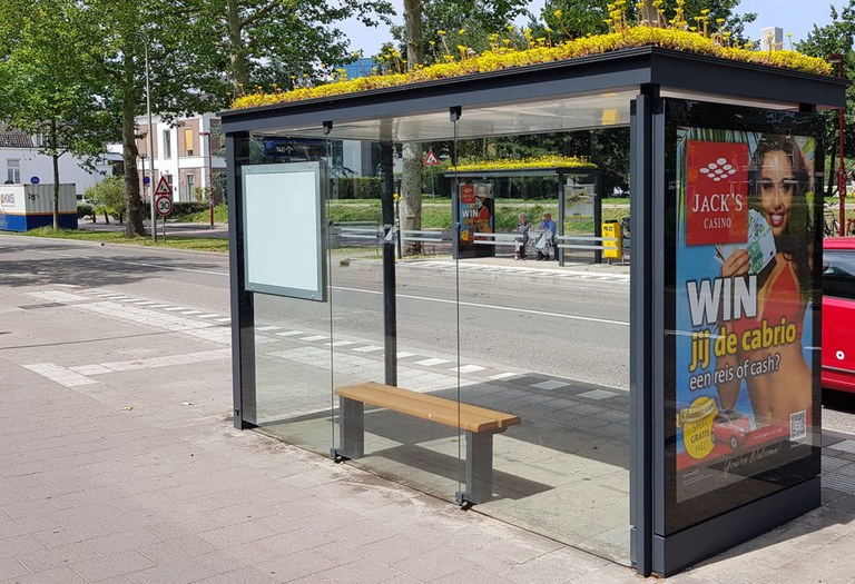 Autobus geltokiak erleentzako lorategi bihurturik Autobus geltokiak erleentzako lorategi bihurturik