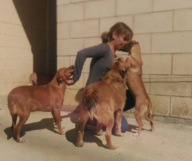 Captura de pantalla 2019-03-26 a las 08.28.54.png