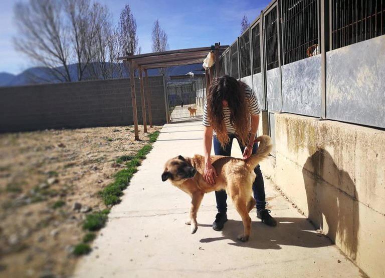 Captura de pantalla 2019-03-26 a las 08.29.22.png