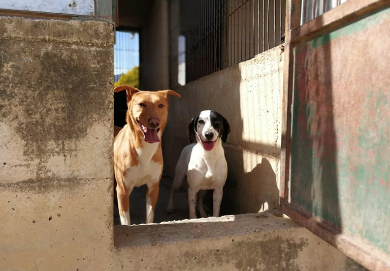 Captura de pantalla 2019-03-26 a las 08.39.10.png