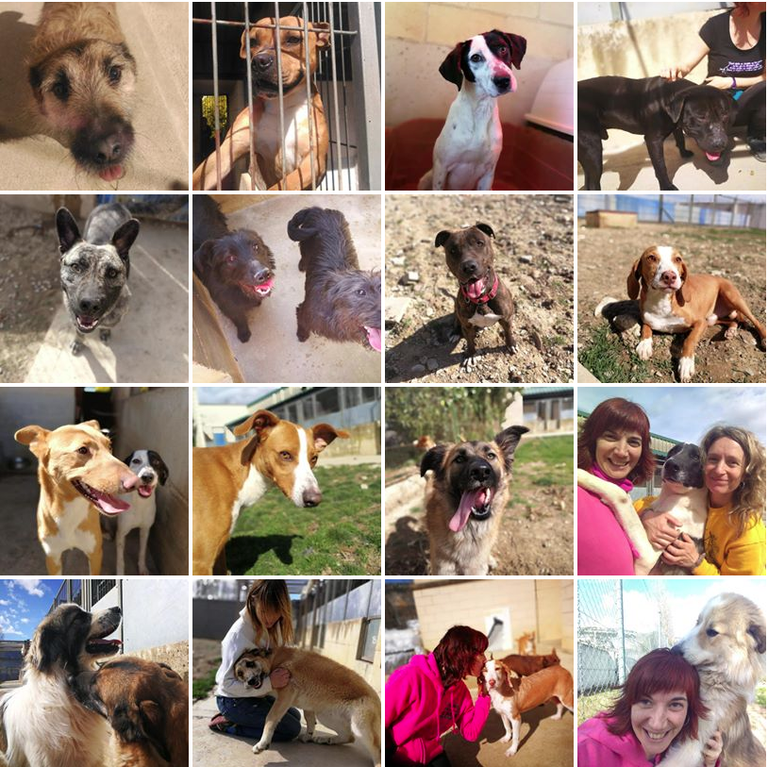 Captura de pantalla 2019-03-26 a las 08.41.53.png