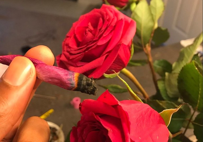 Azken joera: porruak larrosa petaloetan erretzea Azken joera: porruak larrosa petaloetan erretzea