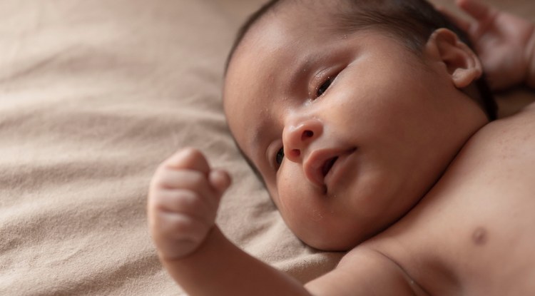 'Baby box'-ak, jaioberriak utzi eta artatuak izateko kutxa termikoak
