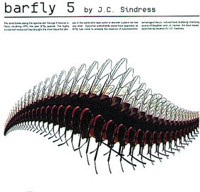 Barfly 5 Barfly 5