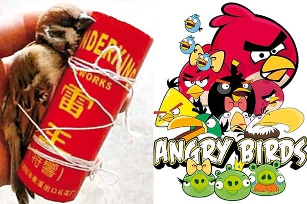 Benetako ‘Angry Birds’ Benetako ‘Angry Birds’