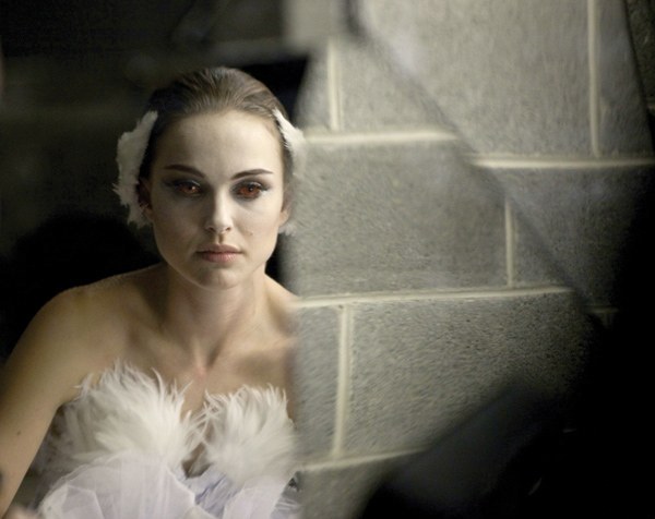 Black swan Black swan