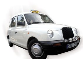 Bolantera itsatsita Bolantera itsatsita