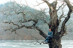 Bom yeoreum gaeul gyeoul geurigo bom (Primavera, verano, otoño, invierno
y primavera / Printe Bom yeoreum gaeul gyeoul geurigo bom (Primavera, verano, otoño, invierno
y primavera / Printe