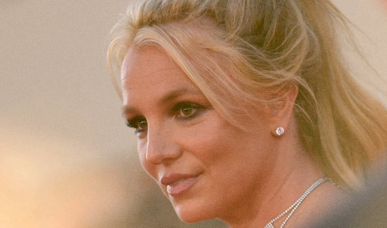 Britney Spears bere buruarekin ezkondu da: "Egin dudan gauzarik adimentsuena da" Britney Spears bere buruarekin ezkondu da: "Egin dudan gauzarik adimentsuena da"