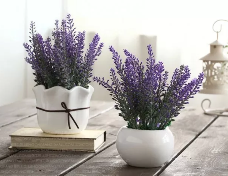 Captura de pantalla 2021-07-30 a las 9.39.11.png