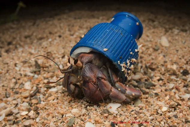 Captura de pantalla 2024-02-26 a las 11.46.49.png