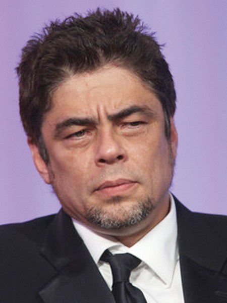Del Toro iraultzailea Del Toro iraultzailea