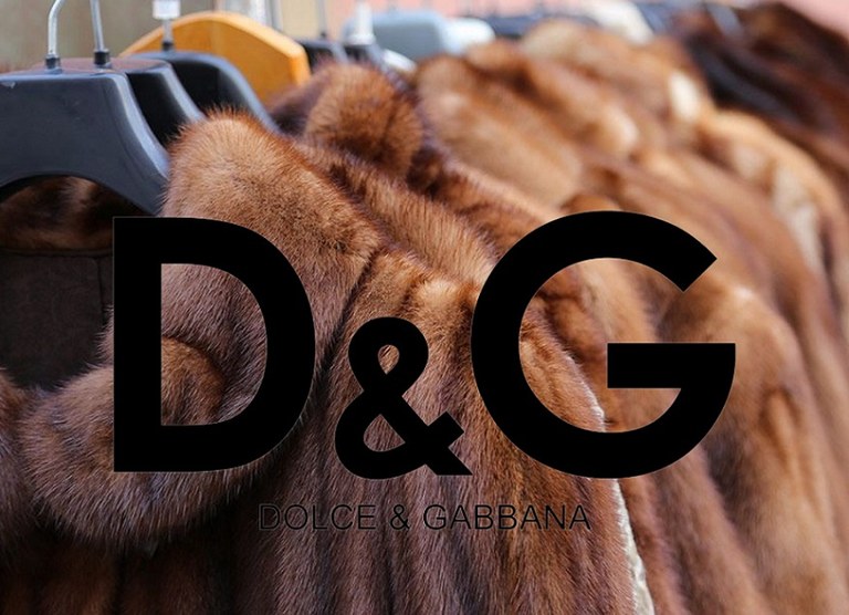 Dolce & Gabbana arropa marka ezagunak animalien larruak erabiltzeari utziko dio urte honetatik aurrera Dolce & Gabbana arropa marka ezagunak animalien larruak erabiltzeari utziko dio urte honetatik aurrera