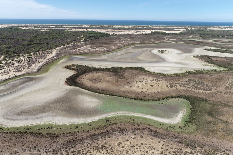Doñana guztiz lehortu da