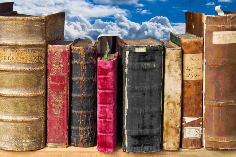 Donostiako Liburu Zahar eta Okasiozkoen azoka zabalik da irailaren 8ra arte