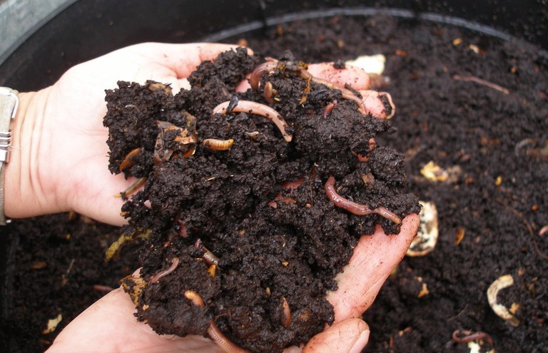 'Ecofriendly' heriotza? 'Ecofriendly' heriotza?