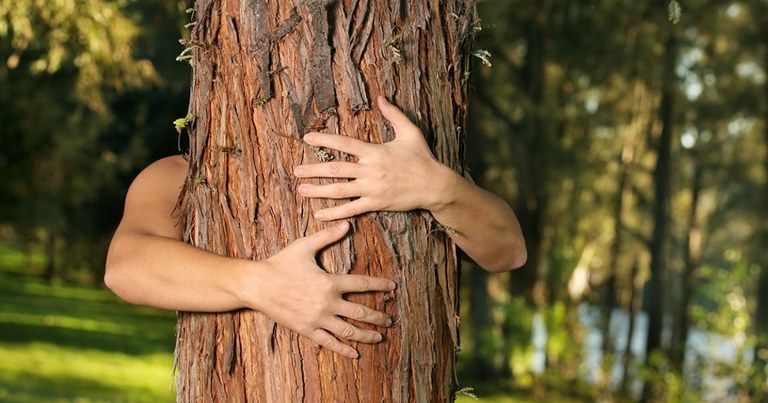 Ekosexualak; natura sexuala denean Ekosexualak; natura sexuala denean