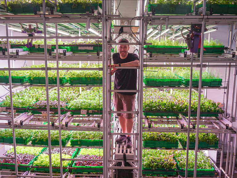 Eraikin hutsak baserri bertikal bilakatu dituzte