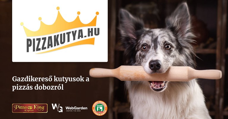 Eskatu pizza bat eta bidean txakur bat adoptatu Eskatu pizza bat eta bidean txakur bat adoptatu