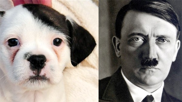 Etorri hona, Hitler! Etorri hona, Hitler!