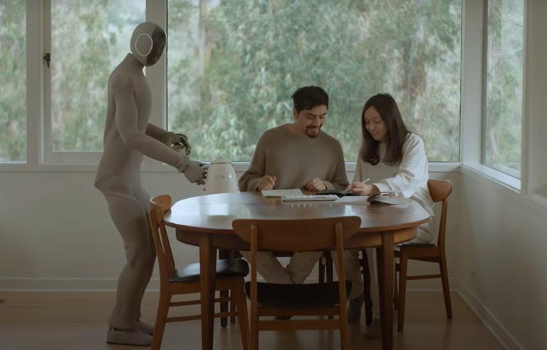 Etxeko lanak egingo dituen giza itxurako robota nahiko al zenuke? Etxeko lanak egingo dituen giza itxurako robota nahiko al zenuke?