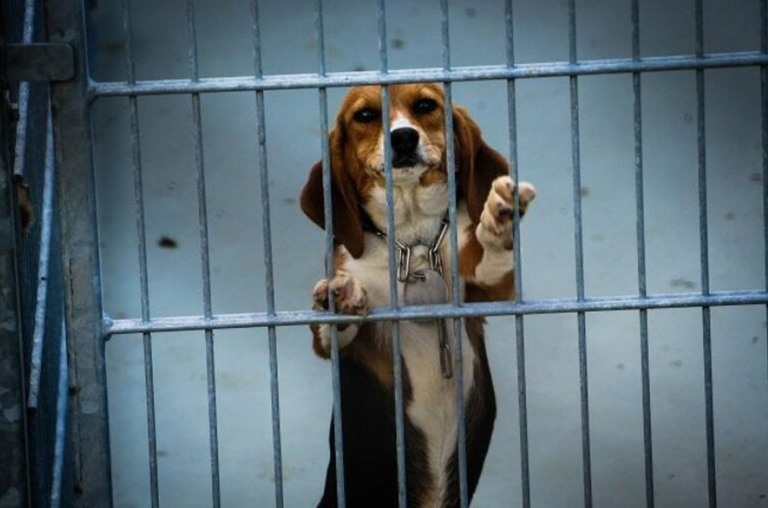 Captura de pantalla 2021-09-28 a las 7.51.33.png