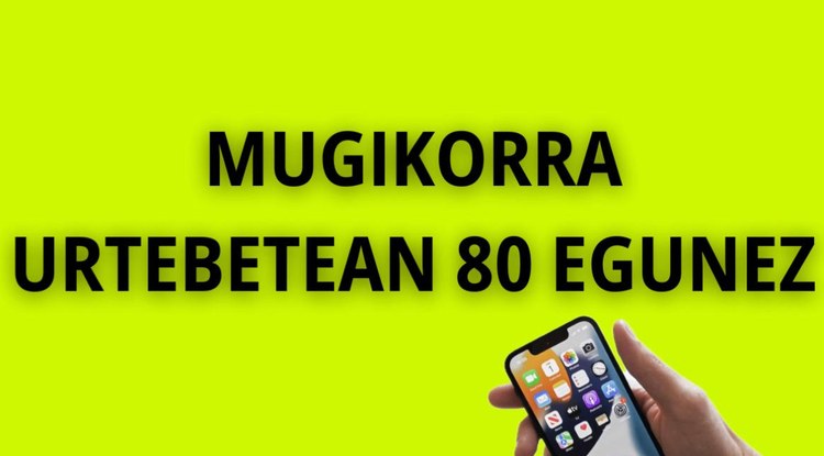[EZ DUZU SINISTUKO, BAINA] MUGIKORRAREN URTEKO BATEZ BESTEKO ERABILERA