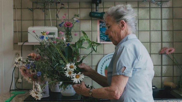 Film laburren gaualdia egingo dute Arrosan