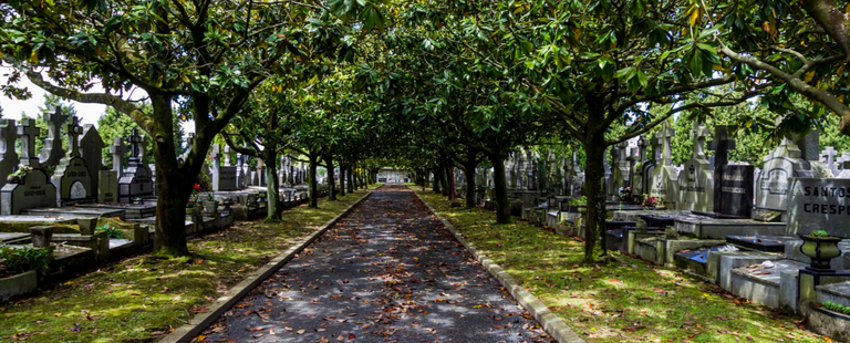Film laburren lehiaketa egingo dute Bilboko hilerrian